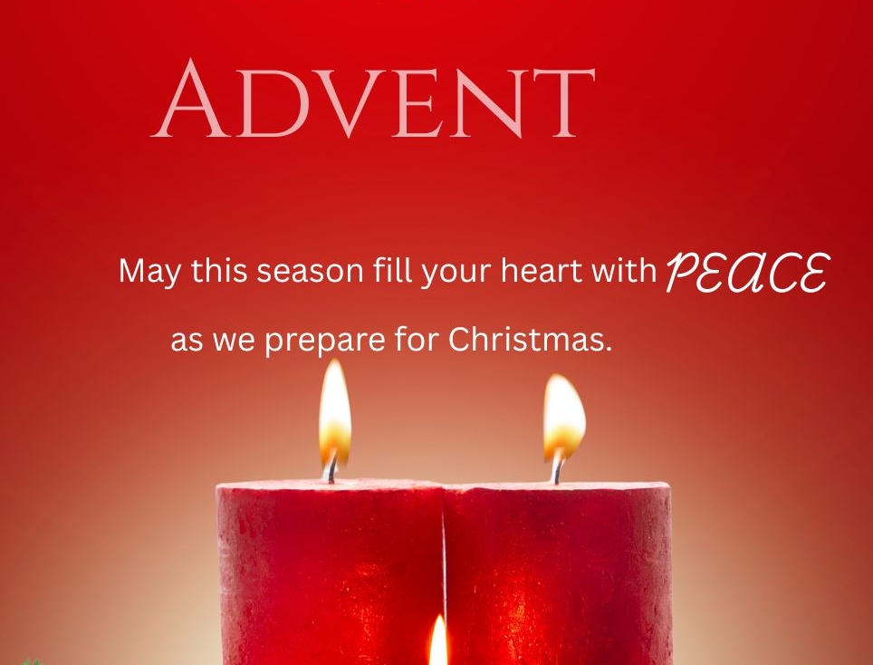 Worship at 9 and 11 AM